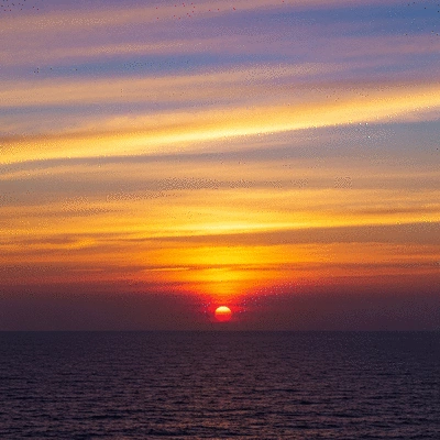 Luxurious bouquet of red roses with delicate baby's breath, tied with a satin ribbon, on a polished dark wood surface, representing a beautiful gesture for a birthday celebration in Dubai.