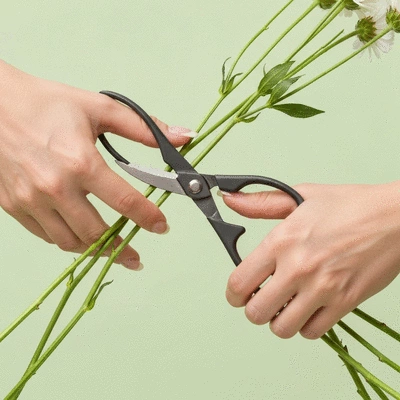Close-up of hands trimming flower stems at an angle with floral shears